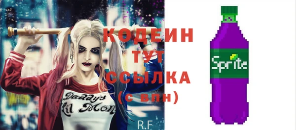 стафф Елизово