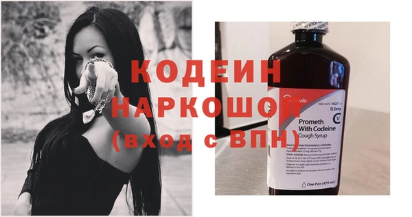 стафф Елизово