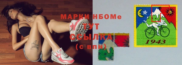 стафф Елизово