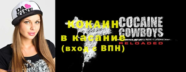 стафф Елизово
