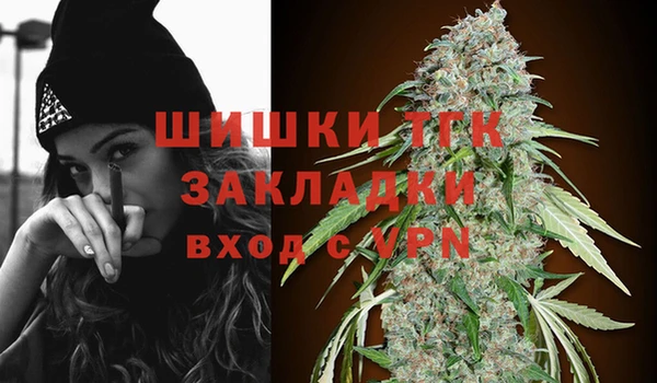 стафф Елизово
