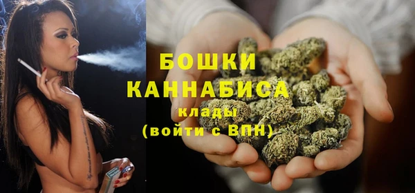 стафф Елизово