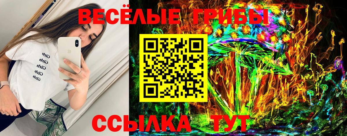Галлюциногенные грибы Cubensis Нижневартовск